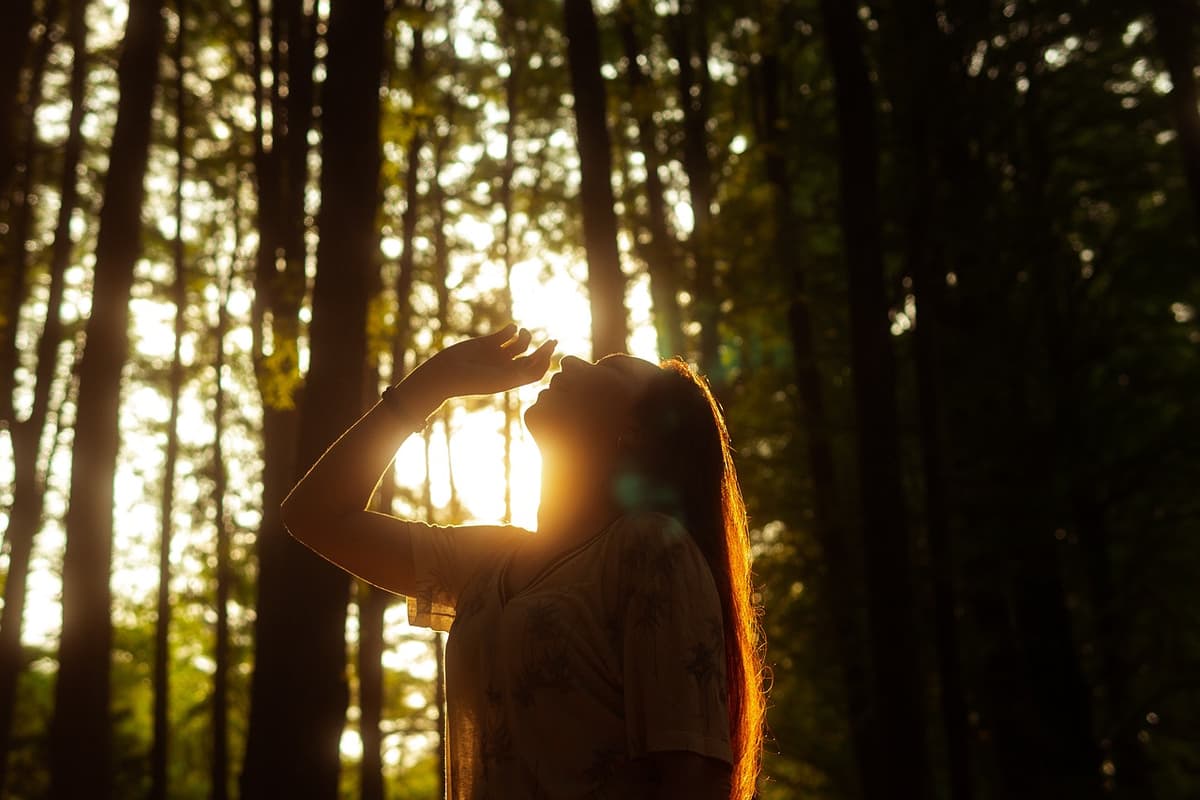 Silhouette of a woman standing in a sunlit forest, tilting her head back and raising one hand near her face, with golden sunlight streaming through the trees and highlighting her hair.