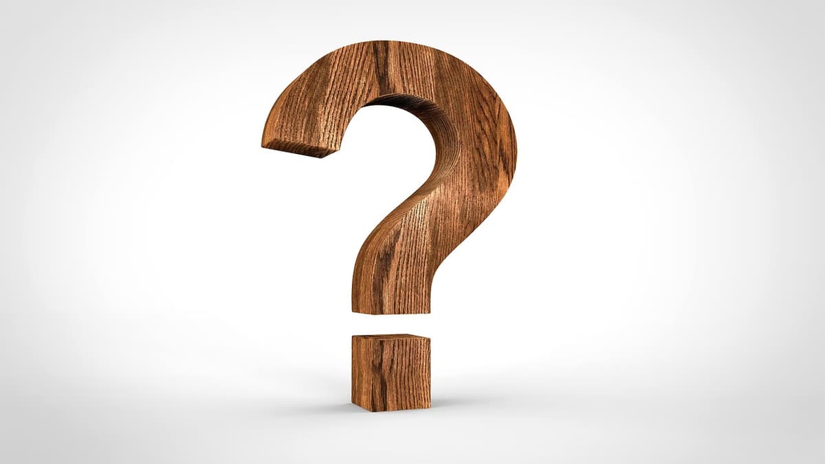 A large question mark made of textured wood is centered on a plain white background.